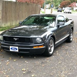 Meet your Posher, Billy